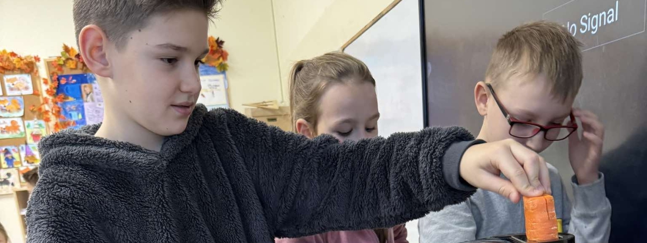 Dlaczego jesienią drzewa gubią liście - przyrodnicza lekcja online w klasie IIIC