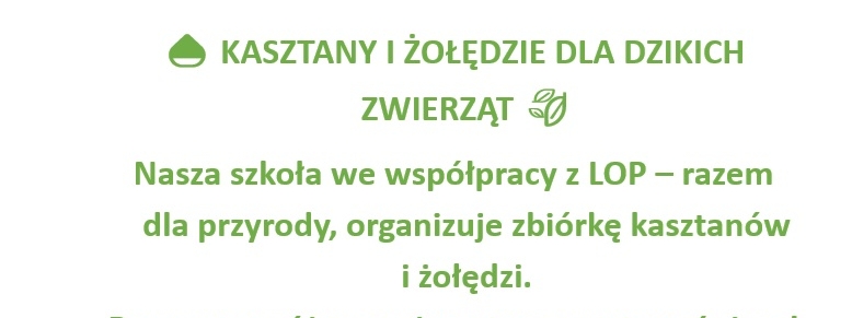 Zbieramy kasztany w naszej szkole