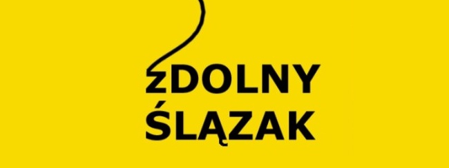 Tymoteusz Dulewski laureatem zDolnego Ślązaka z chemii!