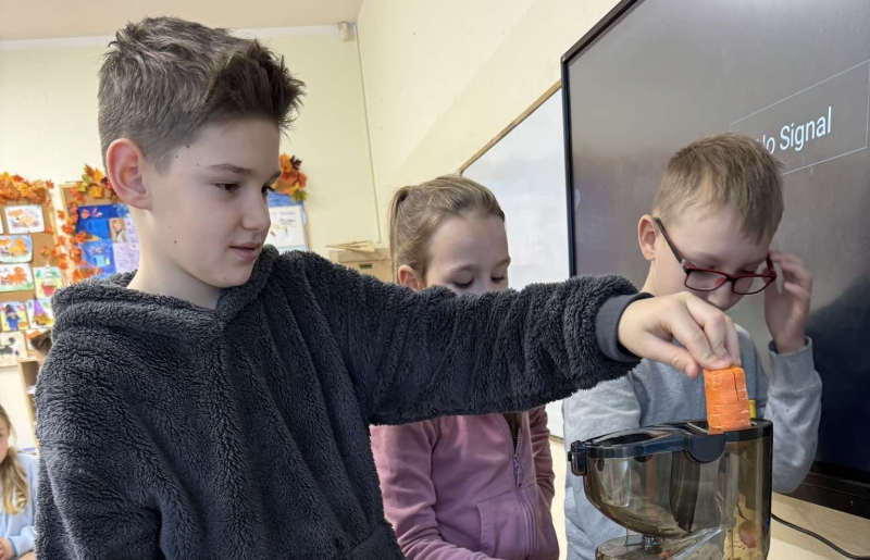 Dlaczego jesienią drzewa gubią liście - przyrodnicza lekcja online w klasie IIIC